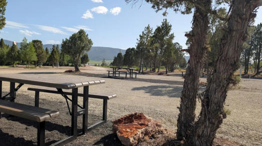 A view of an rv site with a picnic table and trees with the mountains in the distance at Soda Creek Campground in Soda Springs, Idaho.